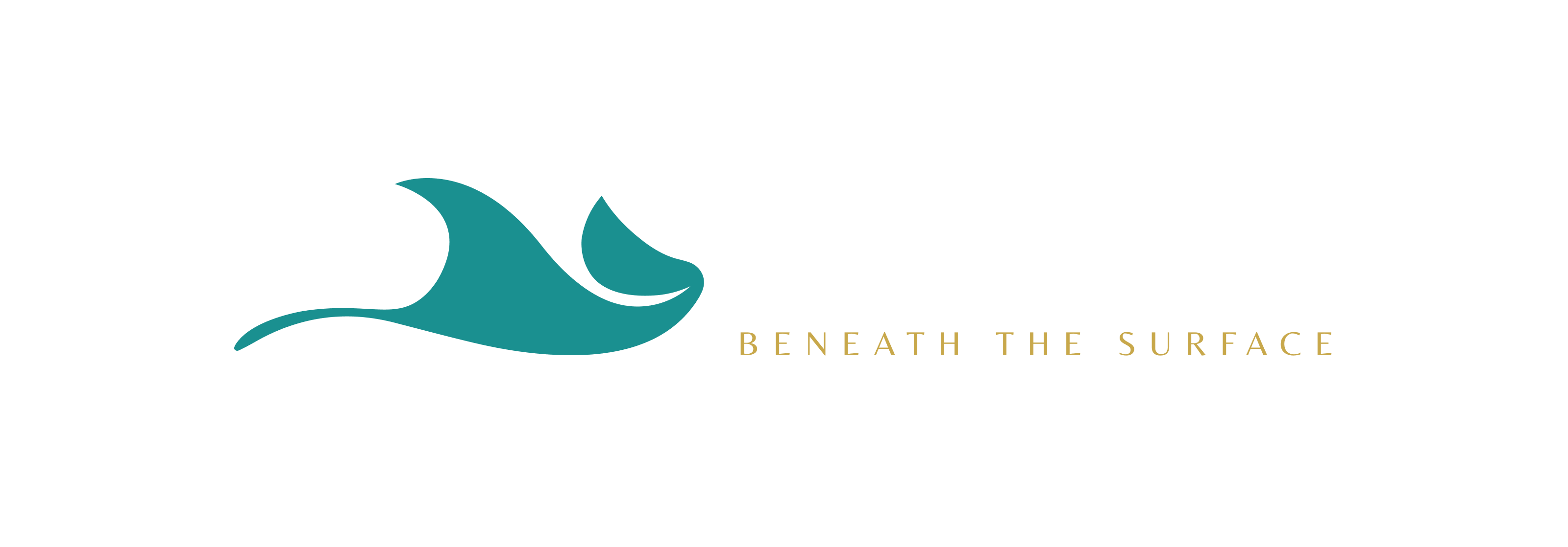 DiveWild