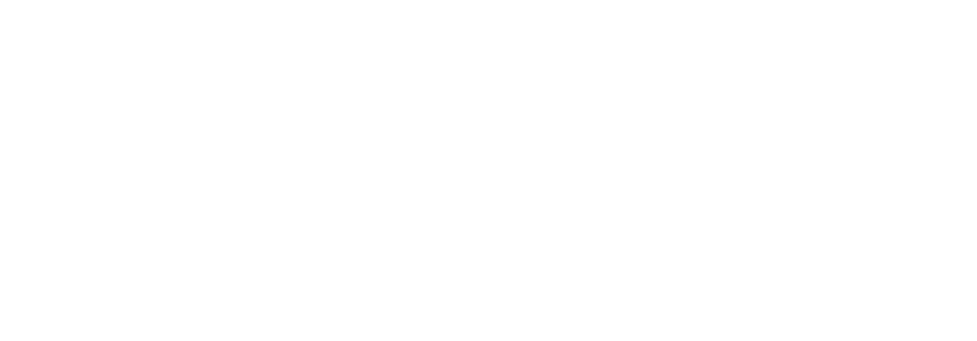 DiveWild